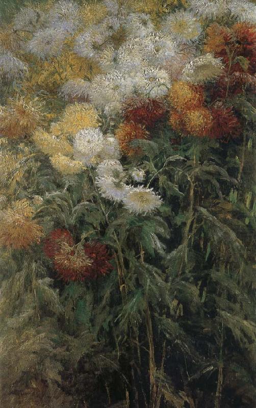 The chrysanthemum in the garden, Gustave Caillebotte